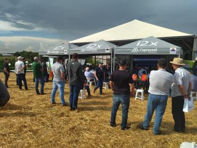 Dia de Campo da Coprossel teve uma Ã³tima participaÃ§Ã£o dos associados
